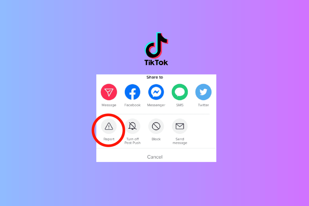 How to See Who Reported You on TikTok