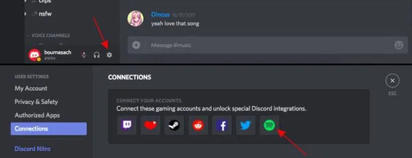 How To Play Music In Discord With & Without A Bot