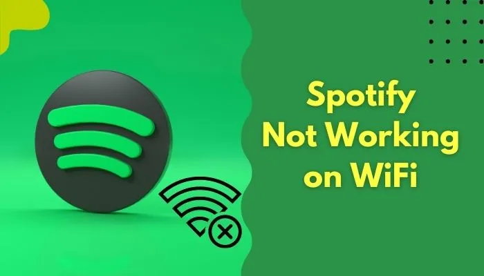 Fix Spotify No Internet Connection By Checking The Internet Connection