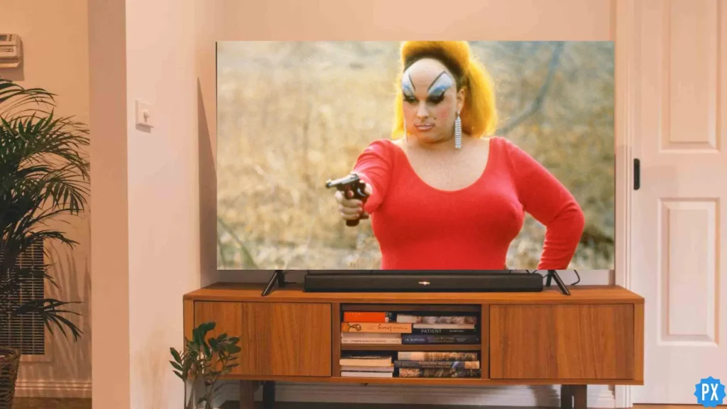 Streaming ; Where to Watch Pink Flamingos & Is It Streaming on Netflix?