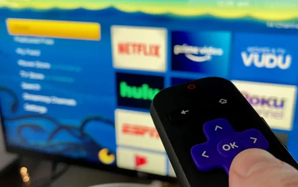 Why is My Roku Talking? How to Turn Off Voice on Roku TV?