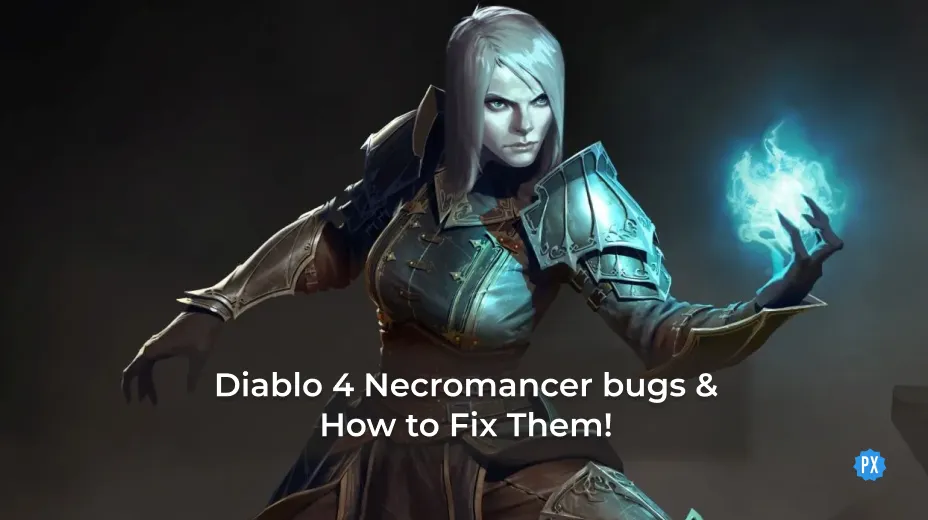 Diablo 4 Necromancer bug
