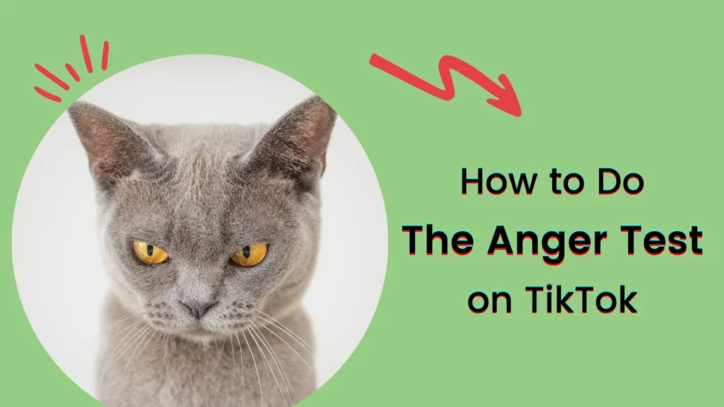 Do the Anger Test on TikTok