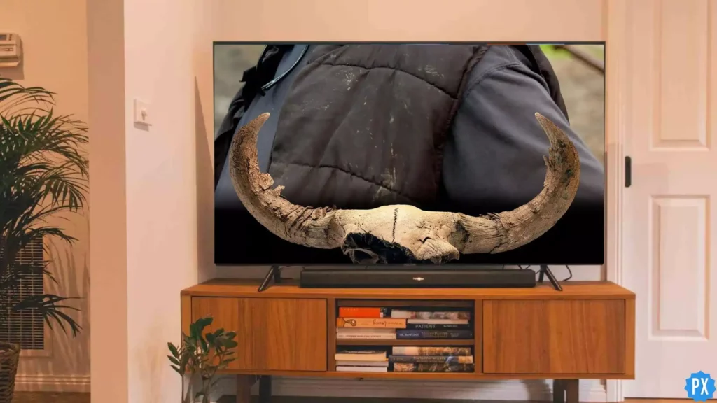 Streaming; Where to Watch Boneyard Alaska Documentary & Is It Streaming on Netflix?