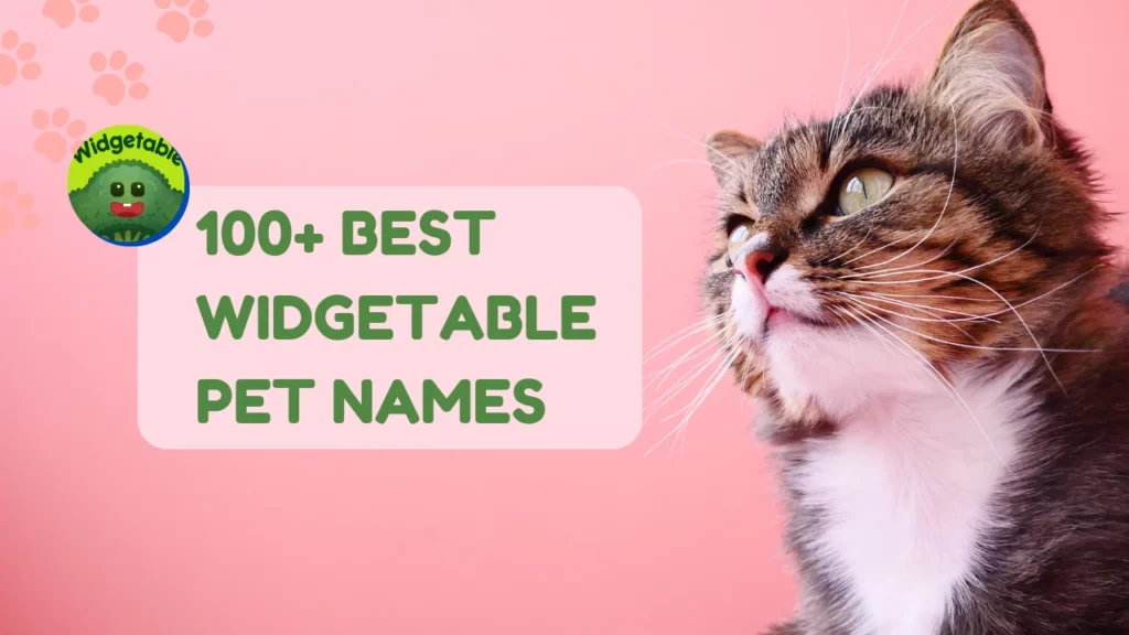 Widgetable Pet Names