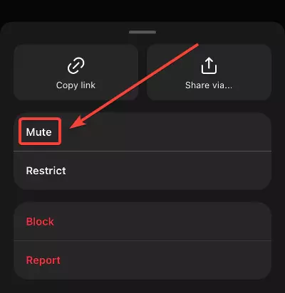 How To Mute Someone On Threads