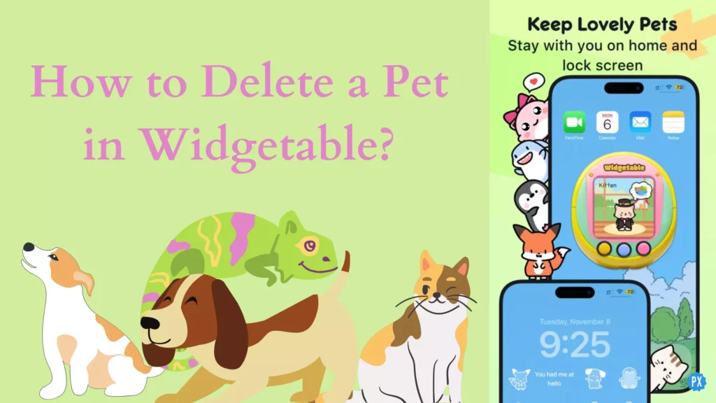 How to Delete a Pet in Widgetable? Here are the Simple Steps!