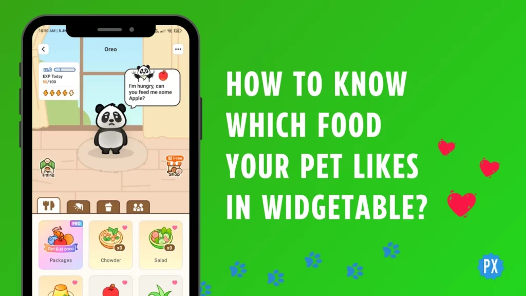 How to Know Which Food Your Pet Likes in Widgetable