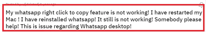 WhatsApp Web Копировать вставить текст не работает