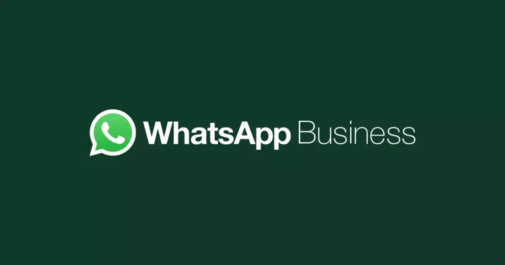How to Fix WhatsApp Business Not Working?