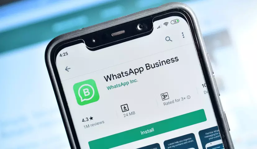 How to Fix WhatsApp Business Not Working?