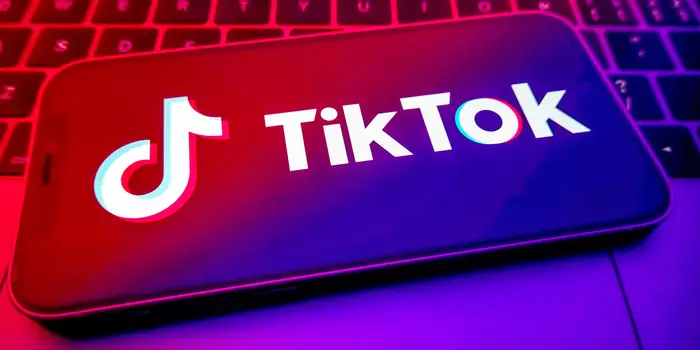 How to do the Fritz Filter on TikTok?