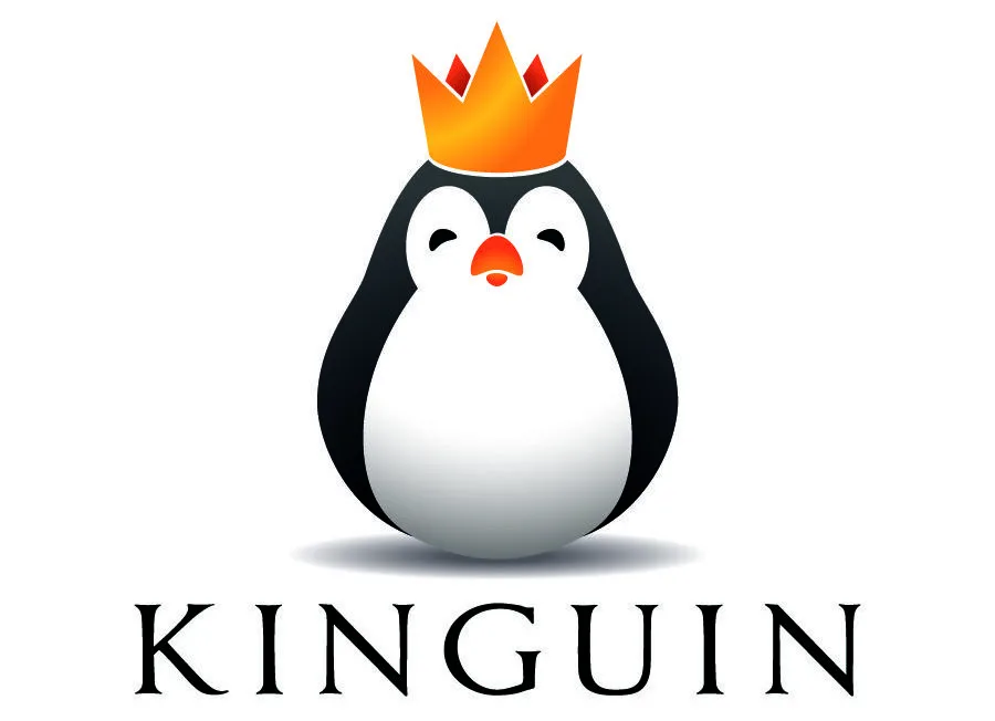 What is Kinguin?