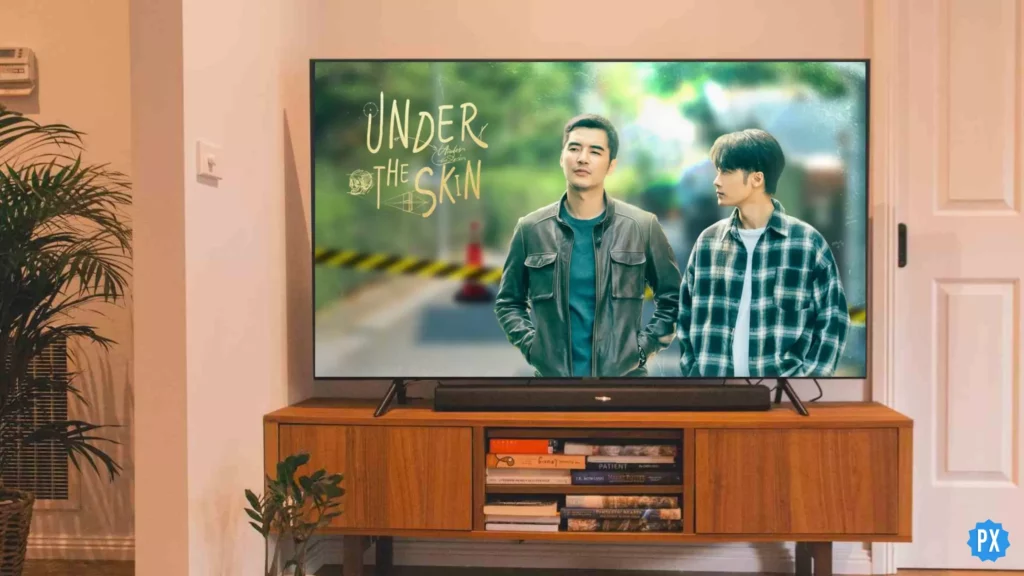 Under The Skin Chinese Drama; Where to Watch Under The Skin Chinese Drama & Is It On Viki?