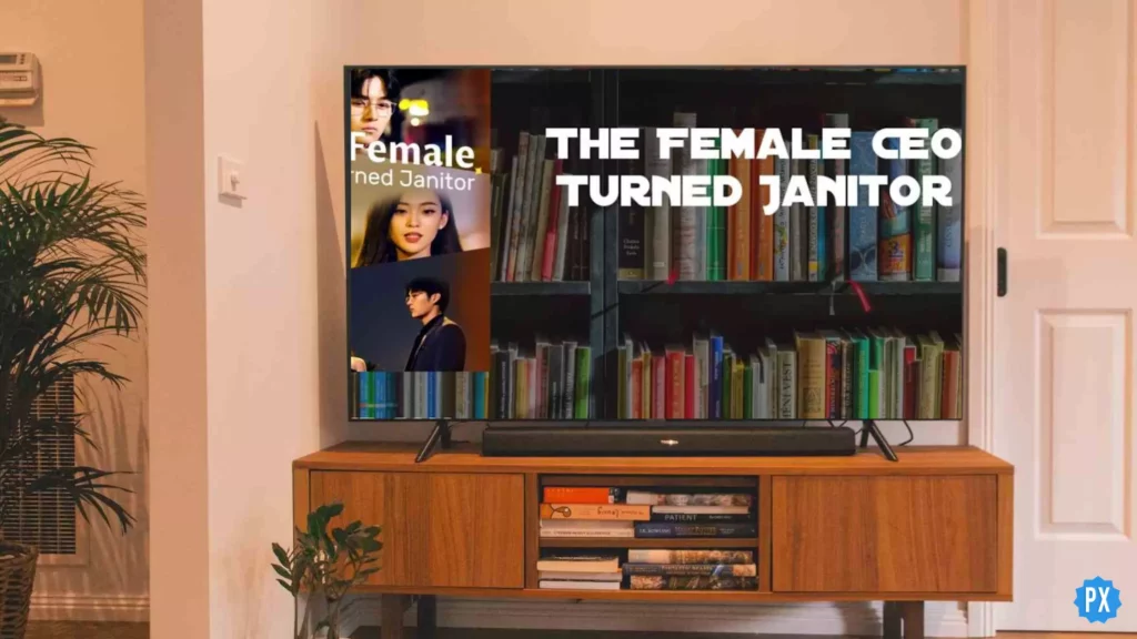 The Female CEO Turned Janitor; Where to Watch The Female CEO Turned Janitor & Is It On Plex?