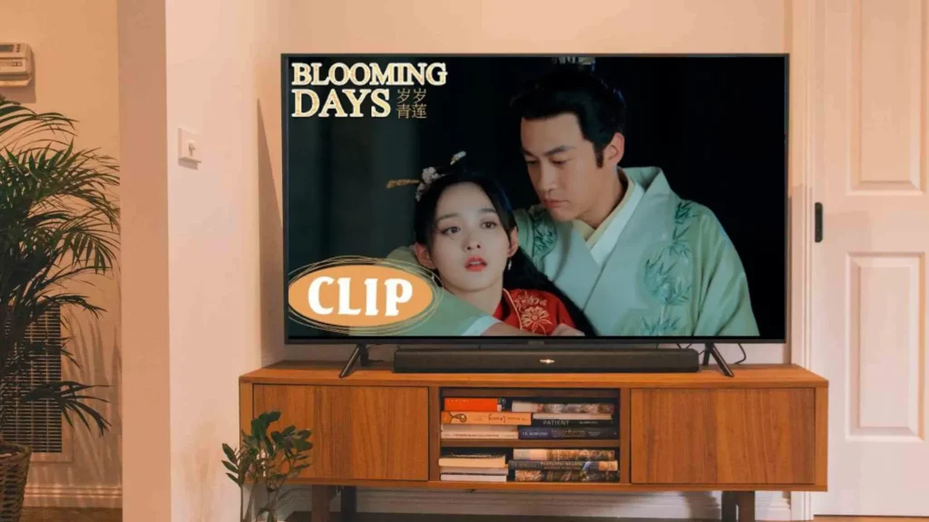 Booming-Days; Where to Watch Blooming Days Chinese Drama & Is It Streaming on Netflix or Viki?