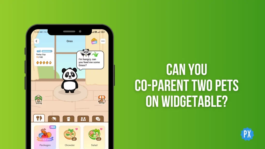 Can You Co-Parent Two Pets on Widgetable