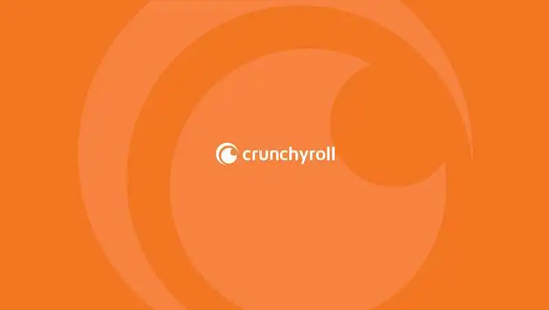 What are the Reasons for Crunchyroll Error Code P-Dash-28?