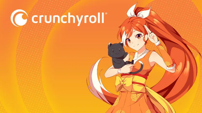 What are the Reasons for Crunchyroll Error Code P-Dash-28?