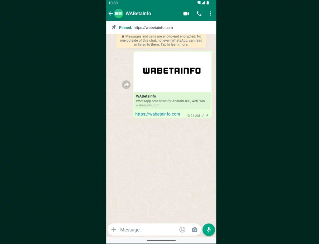 WhatsApp Pinned Messages