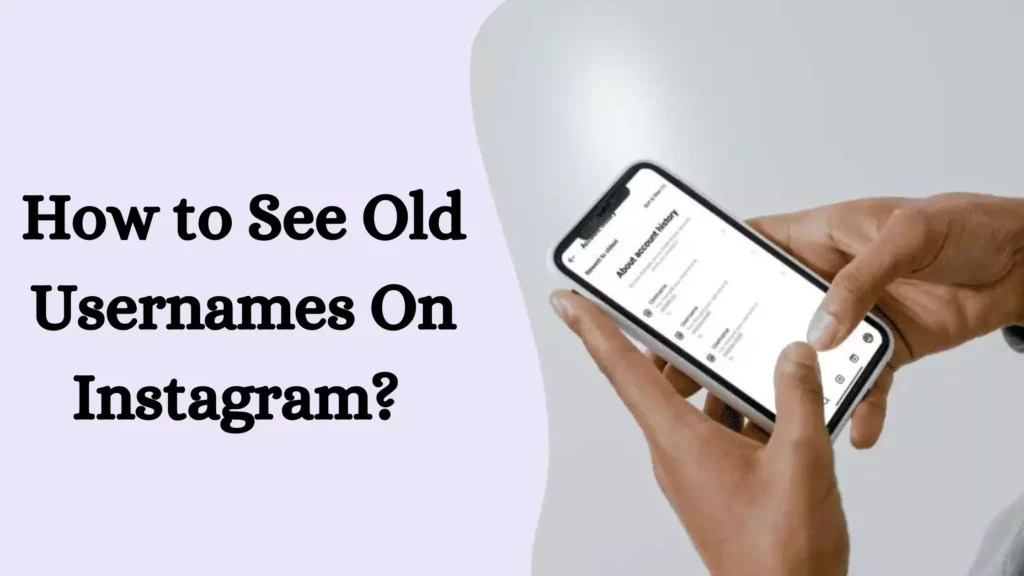 how to See Old Usernames On Instagram? A Quick and Simple Step By Step Guide!
