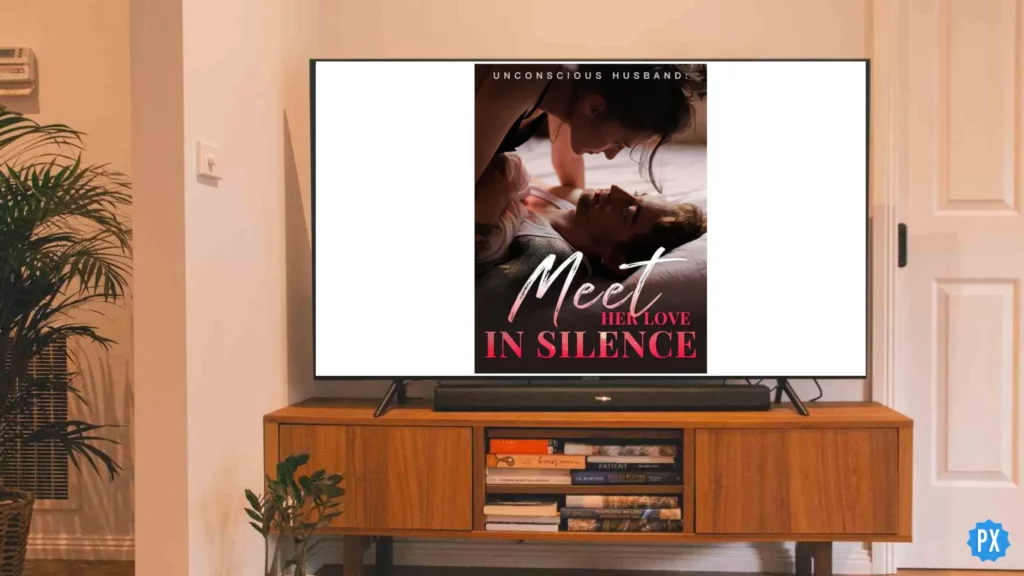 Meet My Husband In Silence; Where to Watch Meet My Husband In Silence & Is It On Moboreels?