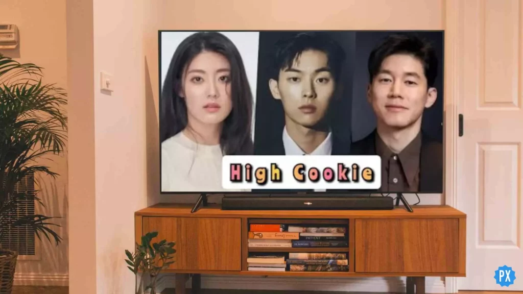 High Cookie Kdrama; Where to Watch High Cookie Kdrama & Is It On YouTube?