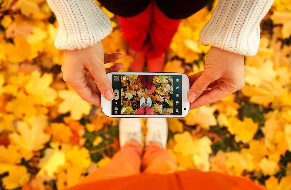 100+Fall Instagram Captions That Are Best For Your Pictures!