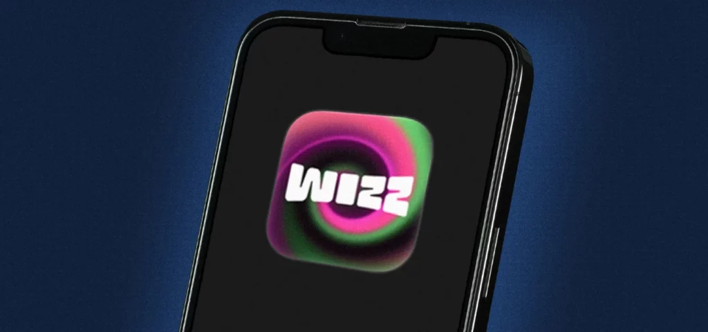 What Does Bulk Mean on Wizz