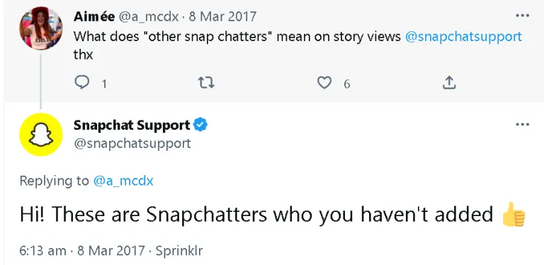 What Does Other Snapchatters Mean on Snapchat Story