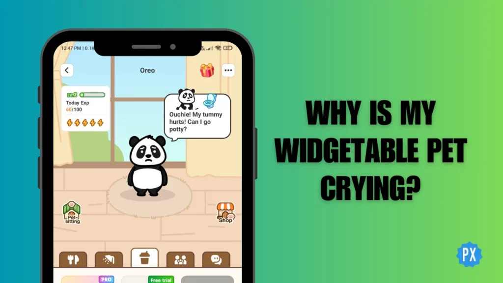 Why is My Widgetable Pet Crying