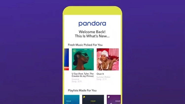 Pandora Playback; Does Pandora Do A Wrapped Or It Is Just A Spotify Thing?