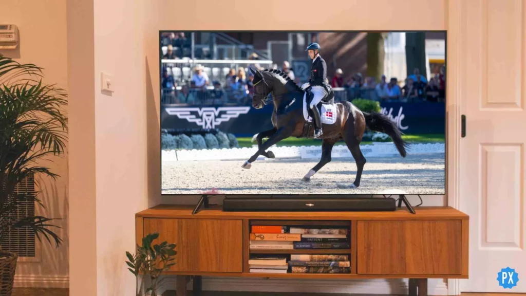 A girl on a horse; Where to Watch Helgstrand Dressage Documentary & Is It On YouTube?