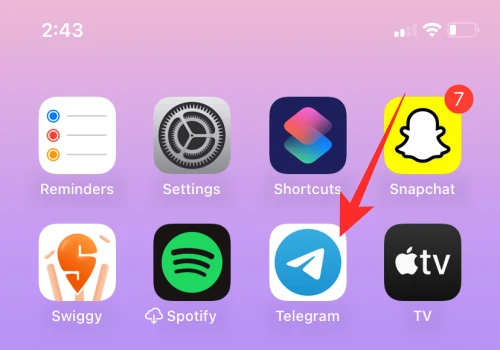 Telegram app icon on Iphone; How to Change Notification Sound for a Specific App in iOS 17 on iPhone?