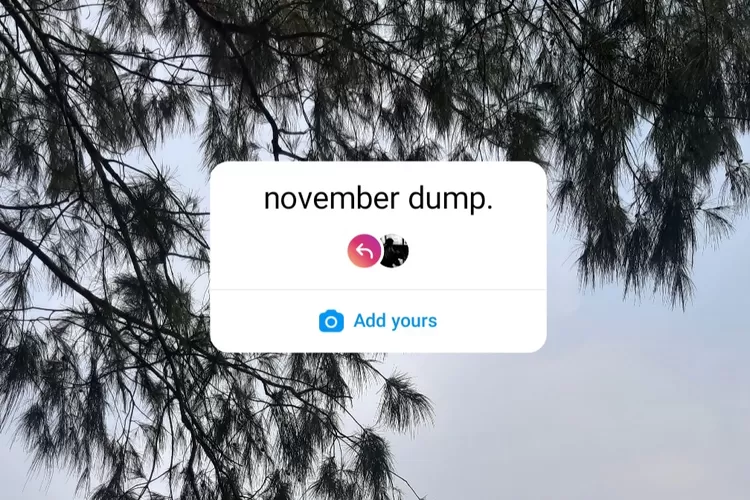 How To Do The Get To Know Me On Instagram By Creating A Template?
