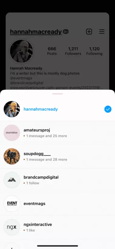 Instagram Shadow Pages