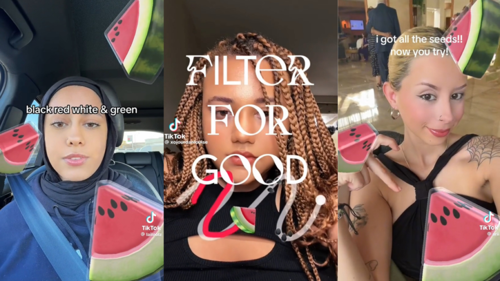 What is the Watermelon Filter on TikTok?