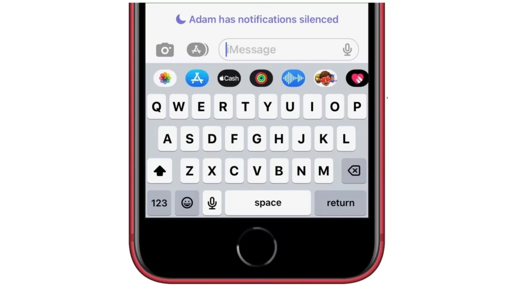 Message silenced on iPhone for specific person; What Does Notifications Silenced Mean On iPhone | Quiet and In Control