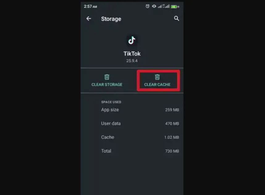 Is Your TikTok Voice Filter Not Working? Read 5 Reasons & Easy Fixes Here!