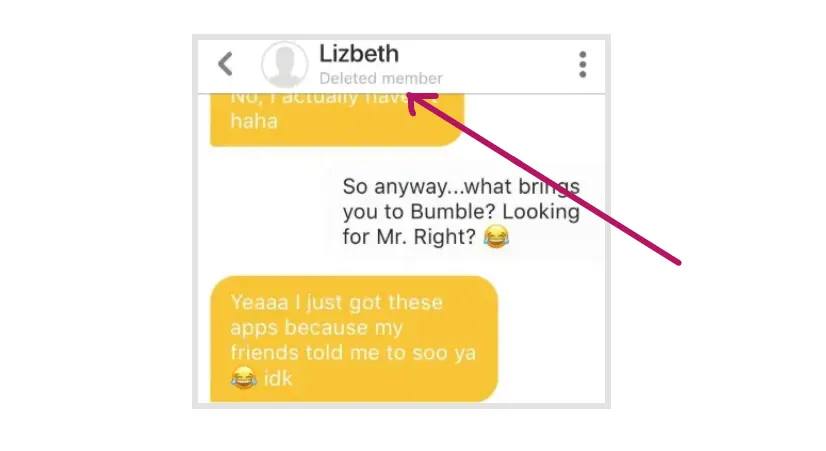 What Does Deleted Member Mean On Bumble In 2024? Know Here!