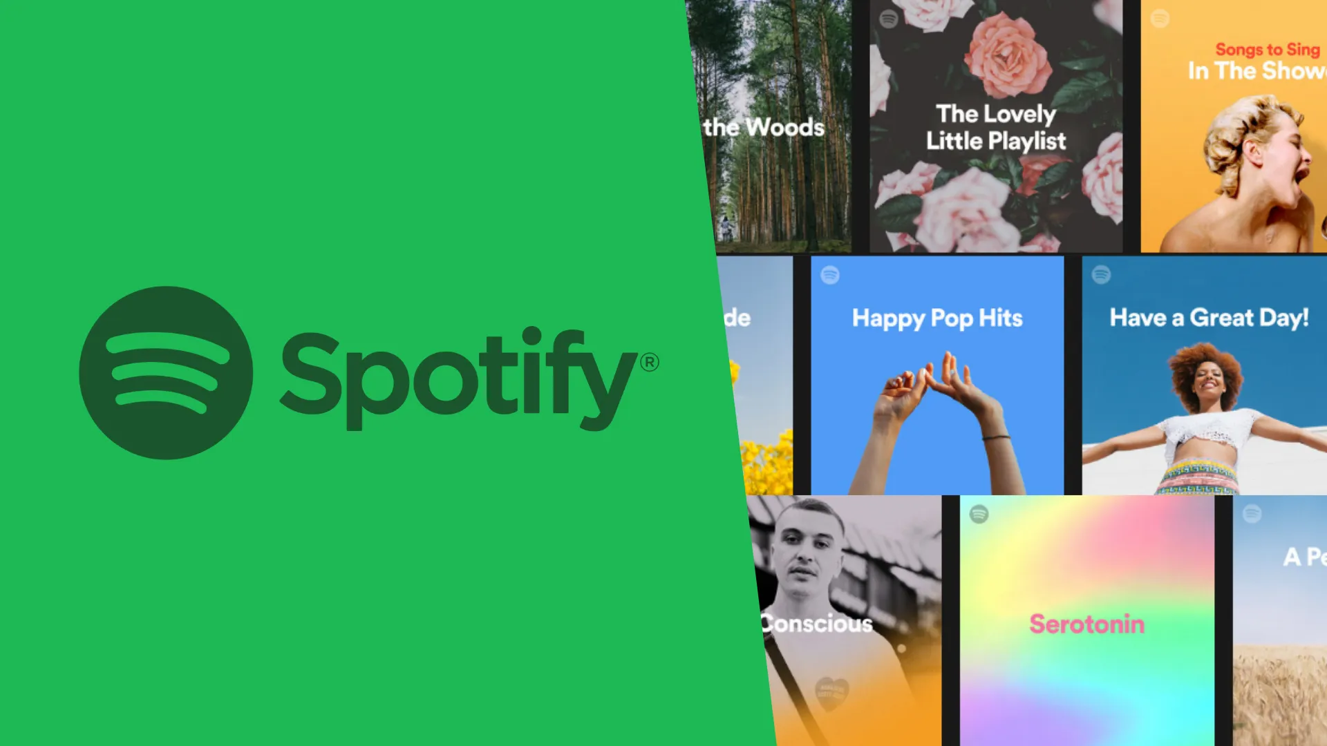 spotify spotle answer today
