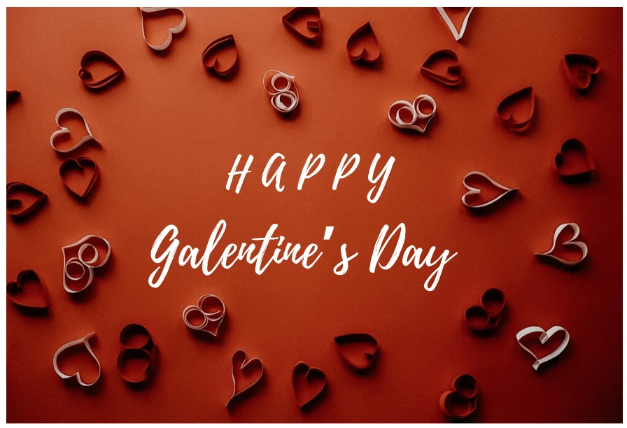 100+ Galentines Day Captions for Instagram