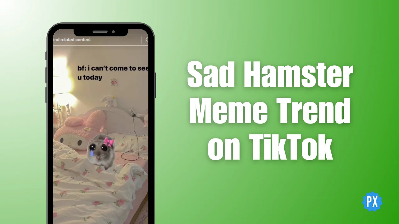 Sad Hamster Meme Trend on TikTok