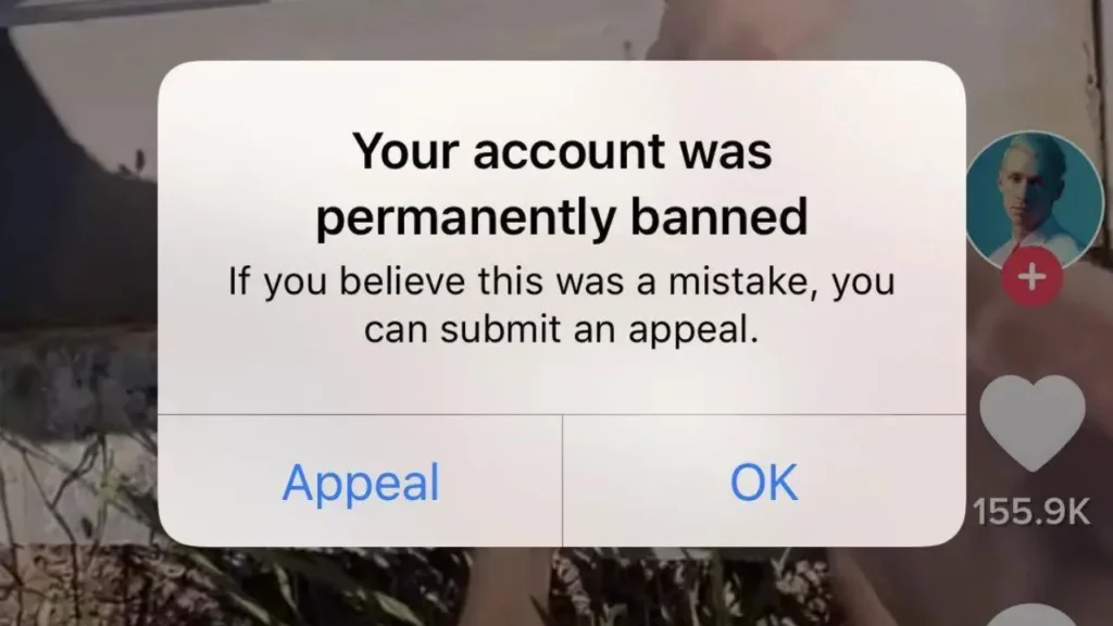 Fix When I Follow Someone on TikTok It Automatically Unfollows