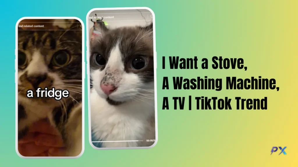 I want a stove a washing machine a TV trend